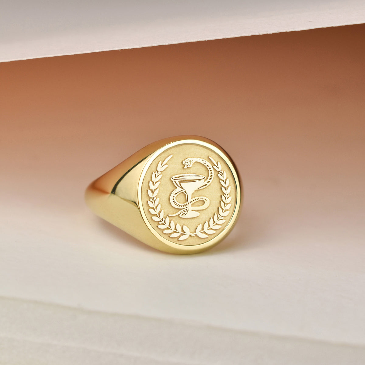 14K Gold Pharmacist Signet Ring