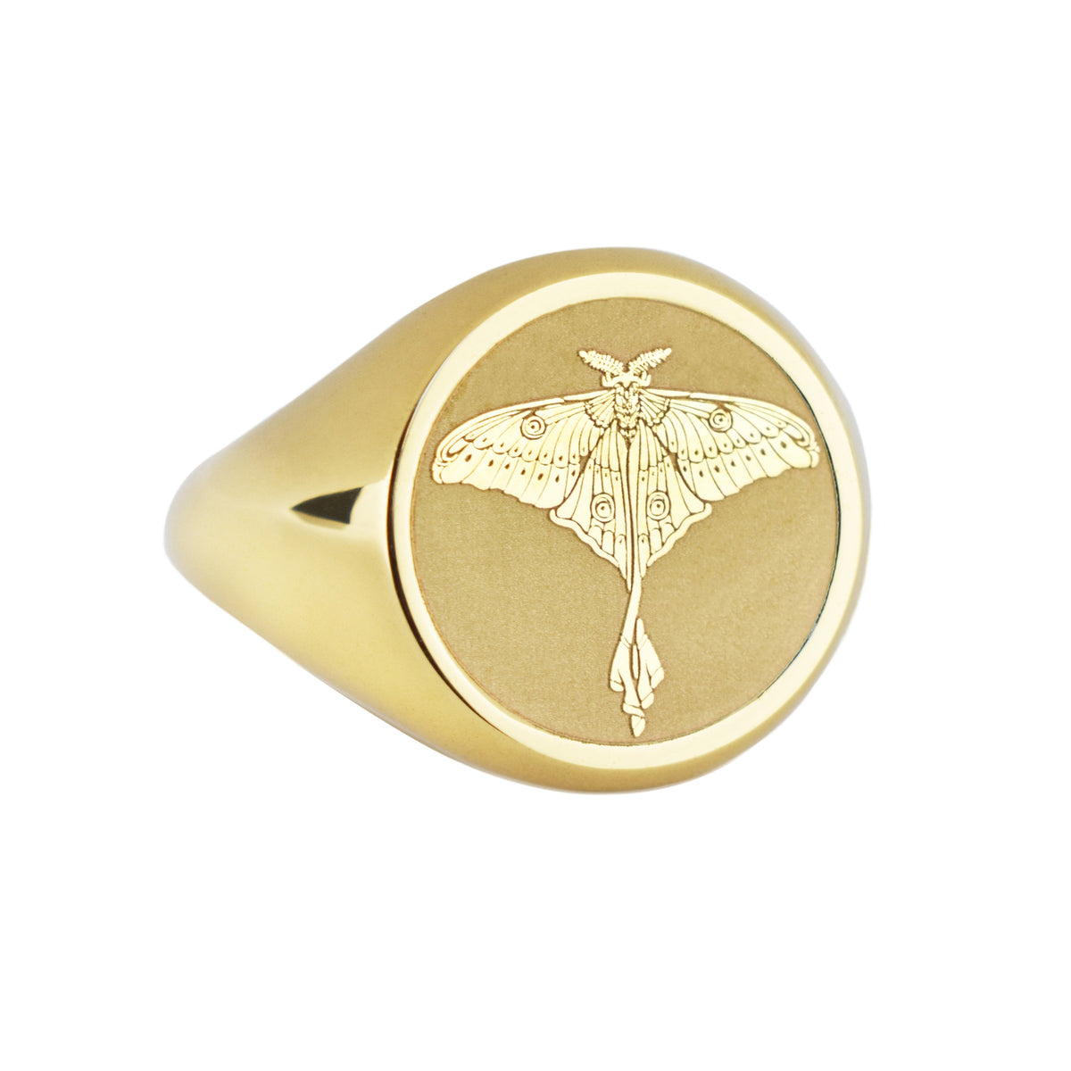 14K Gold Luna Moth Signet Ring