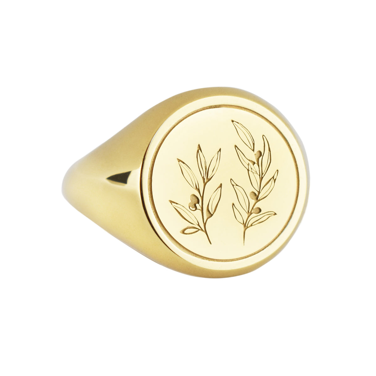 14K Gold Olive Branch Signet Ring